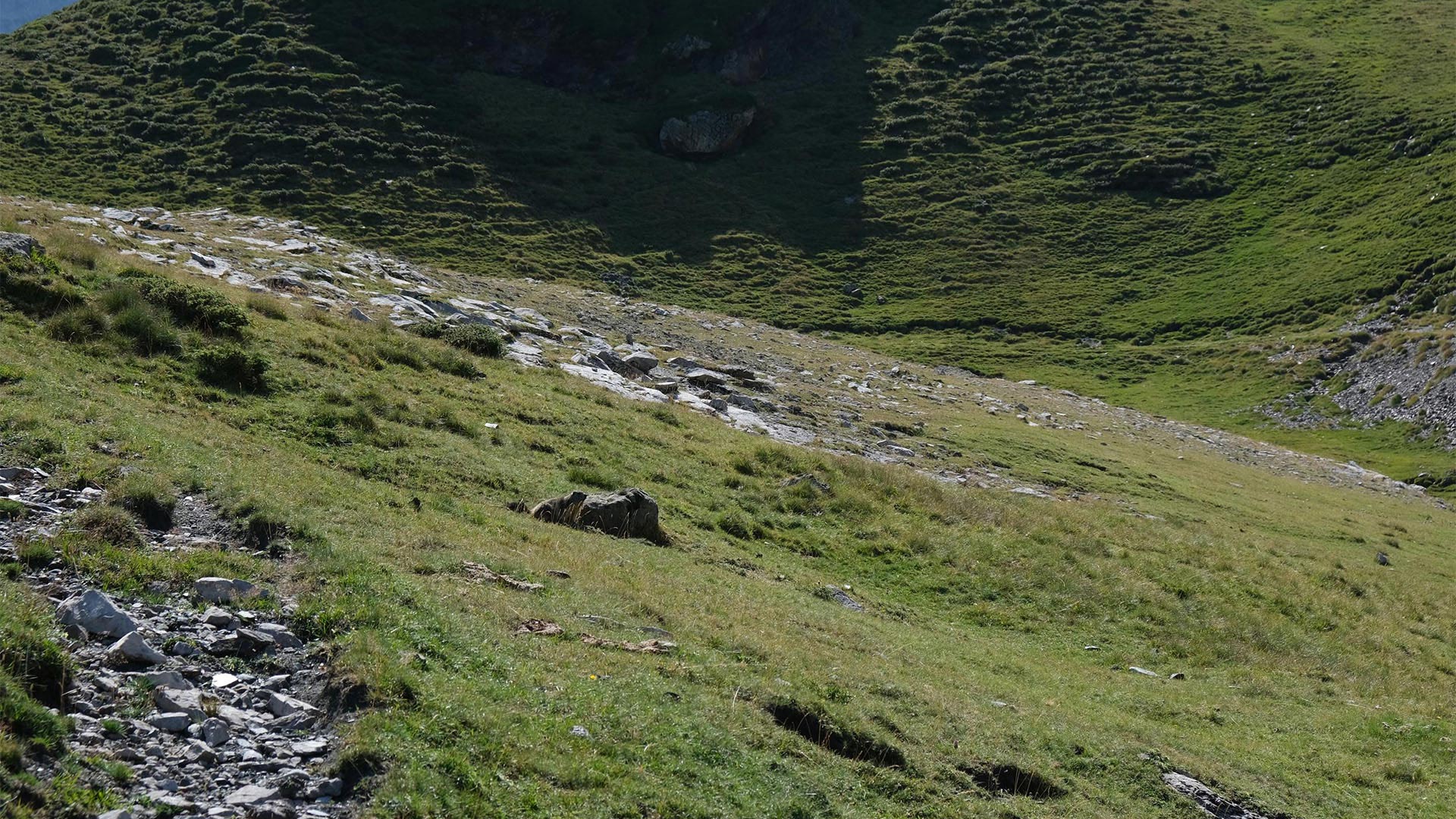 Paysage de montagnes