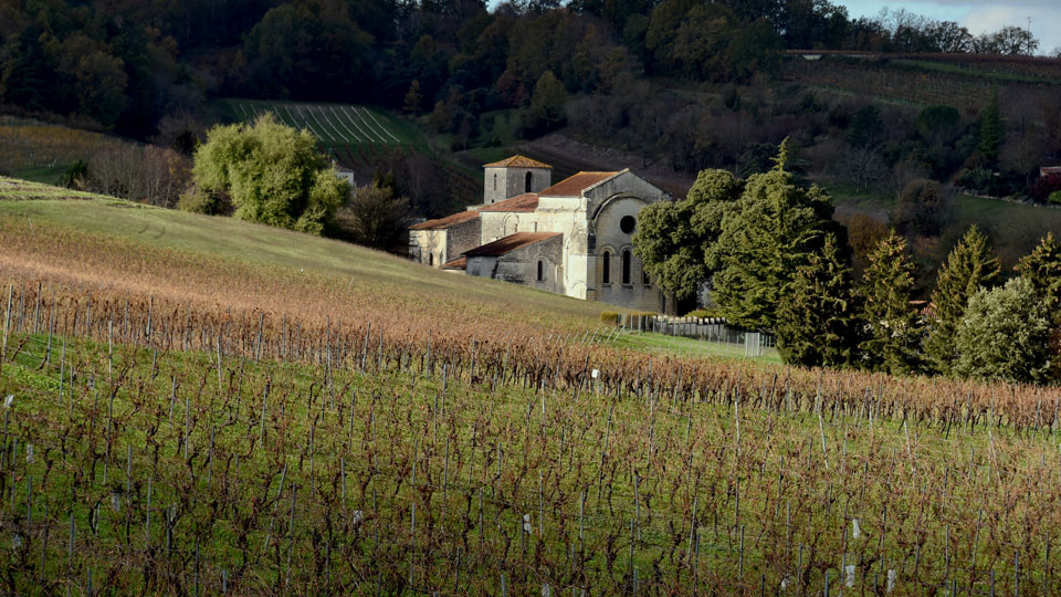 Paysage charentais