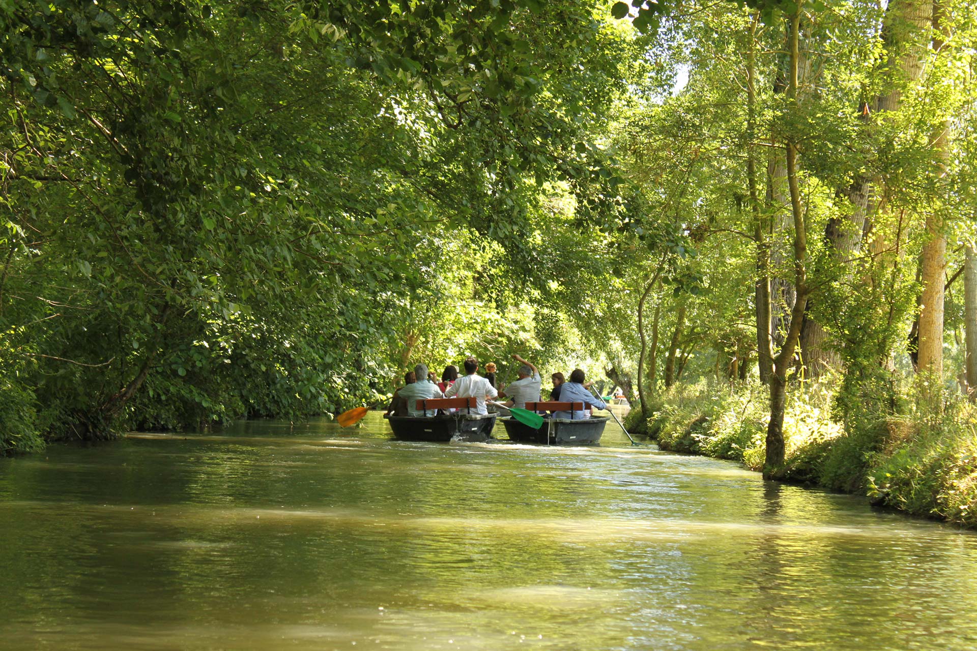 Vue du marais poitevin