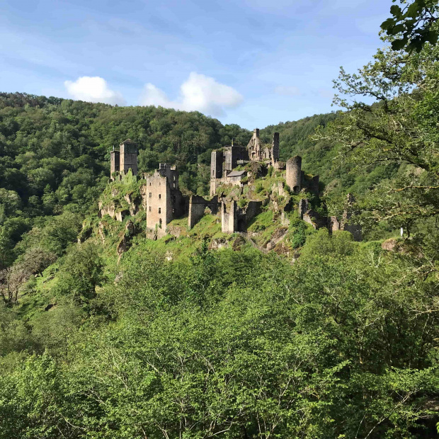 vue des tours dans un paysage verdoyant