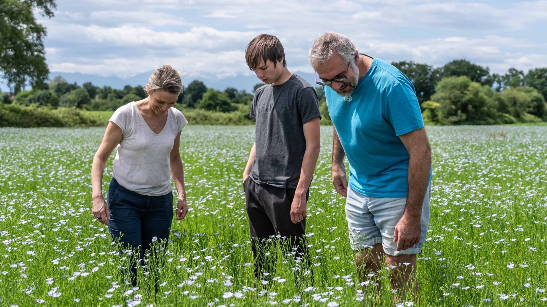 les responsables du projet dans un champ de lin, regardant les fleurs