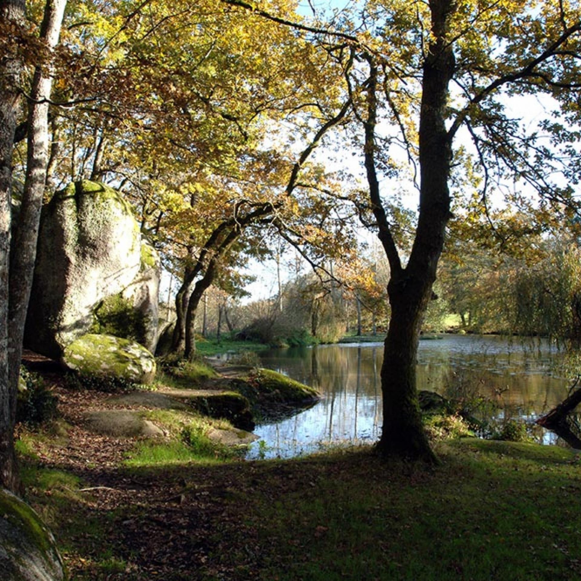 étang dans une forêt