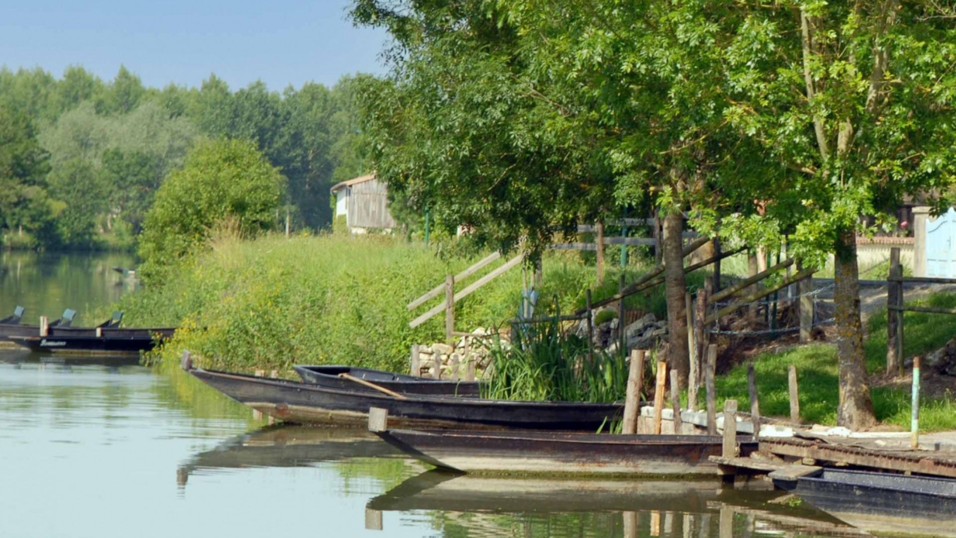 des barques sur une rivière