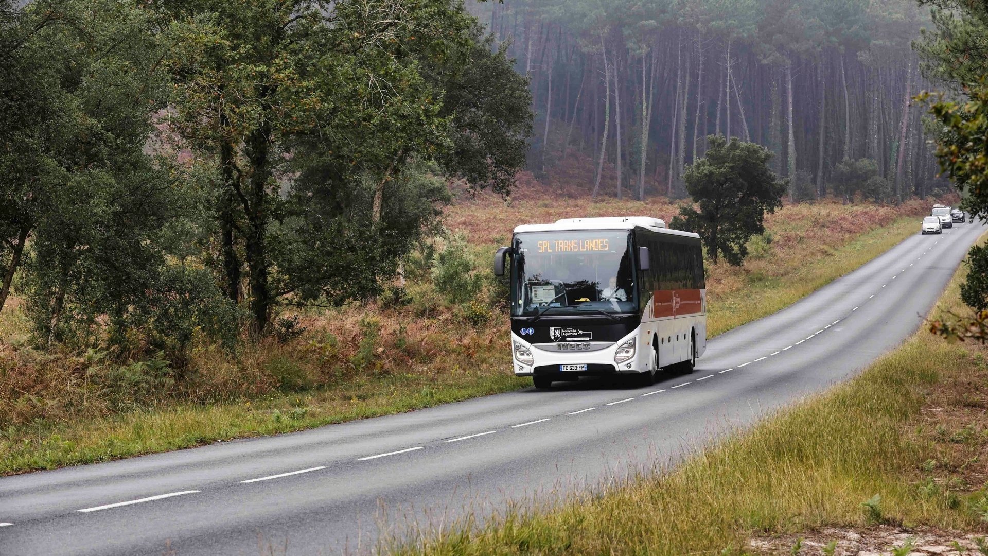 un car qui traverse une route entourée de pins