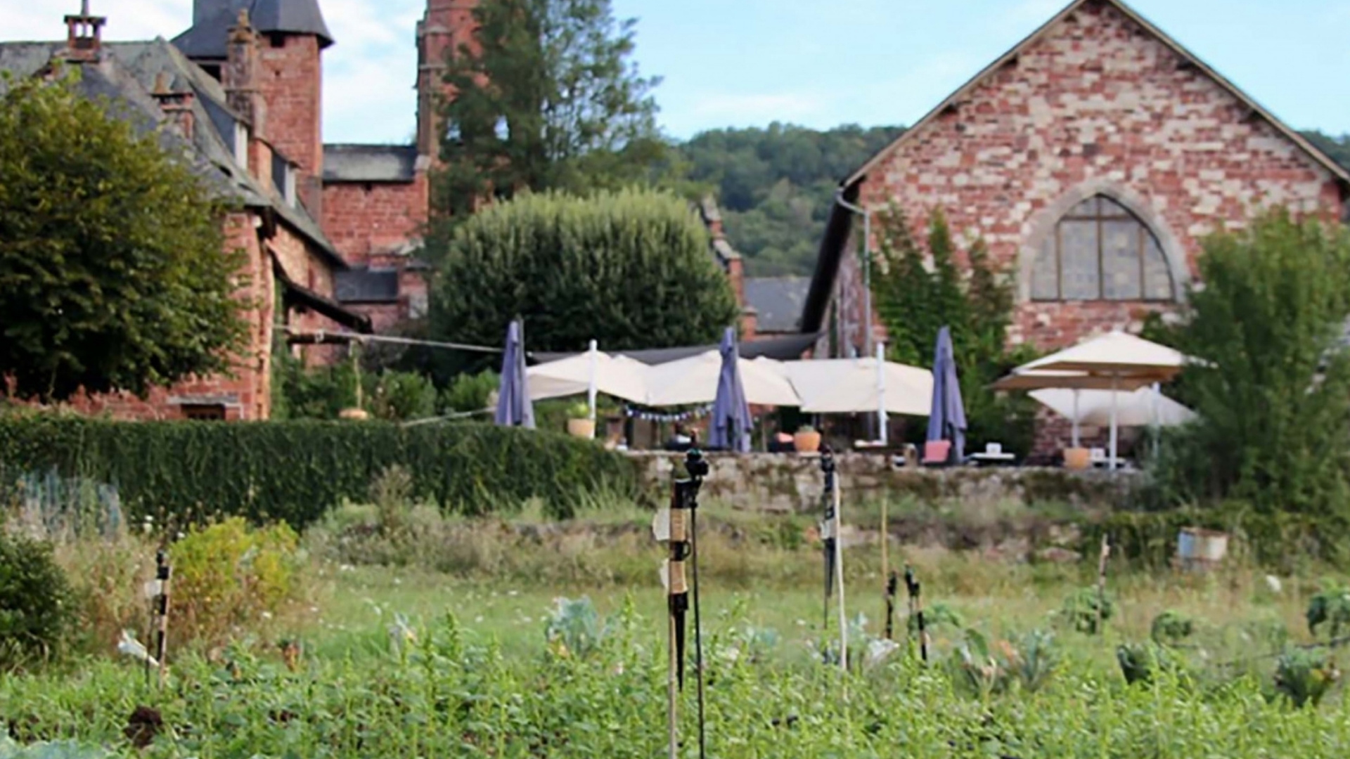 potager avec un arrière plan des vieilles maisons en brique