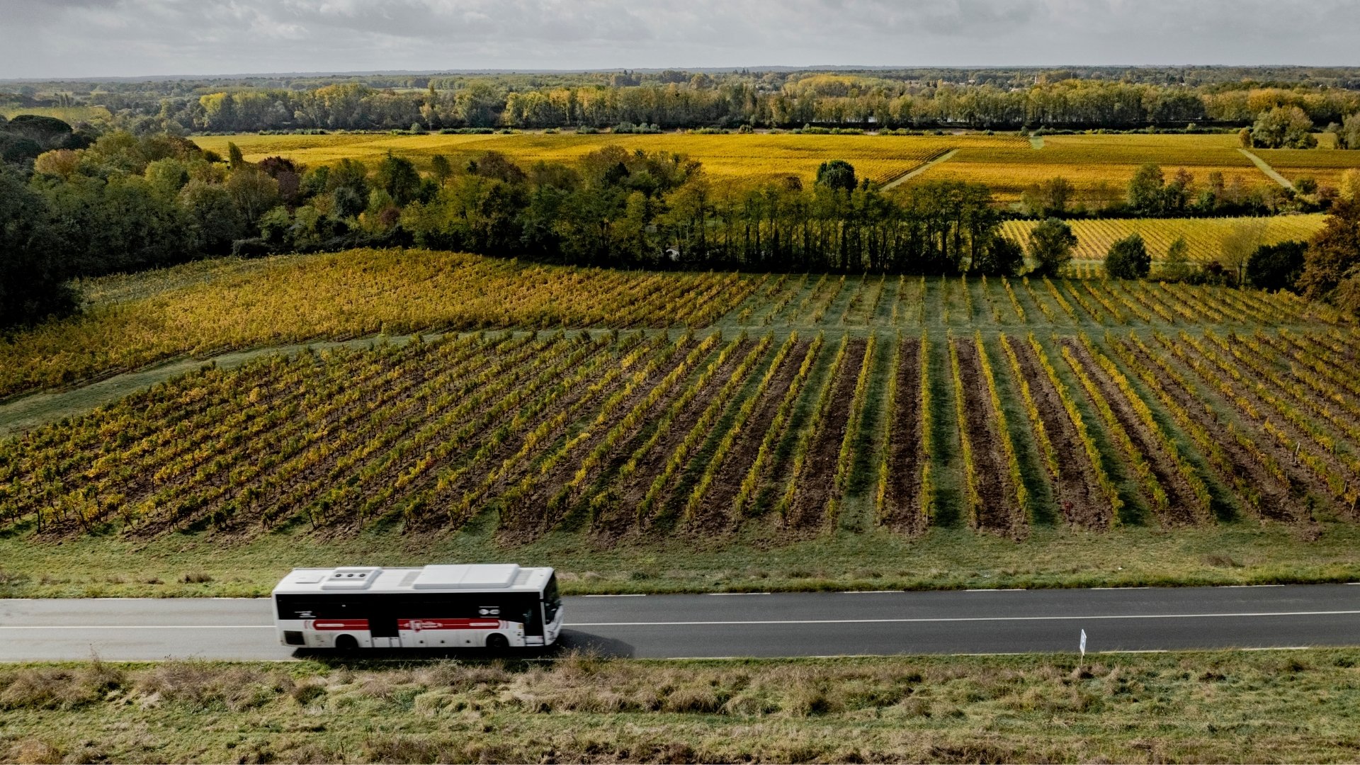 un car dans les vignes