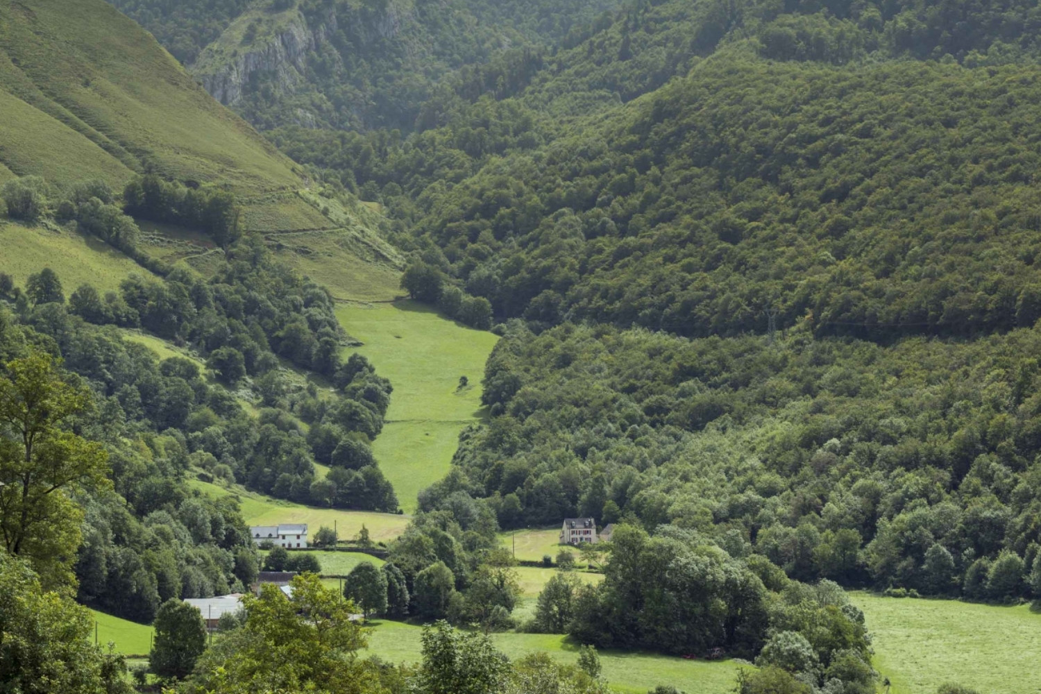 vue panoramique