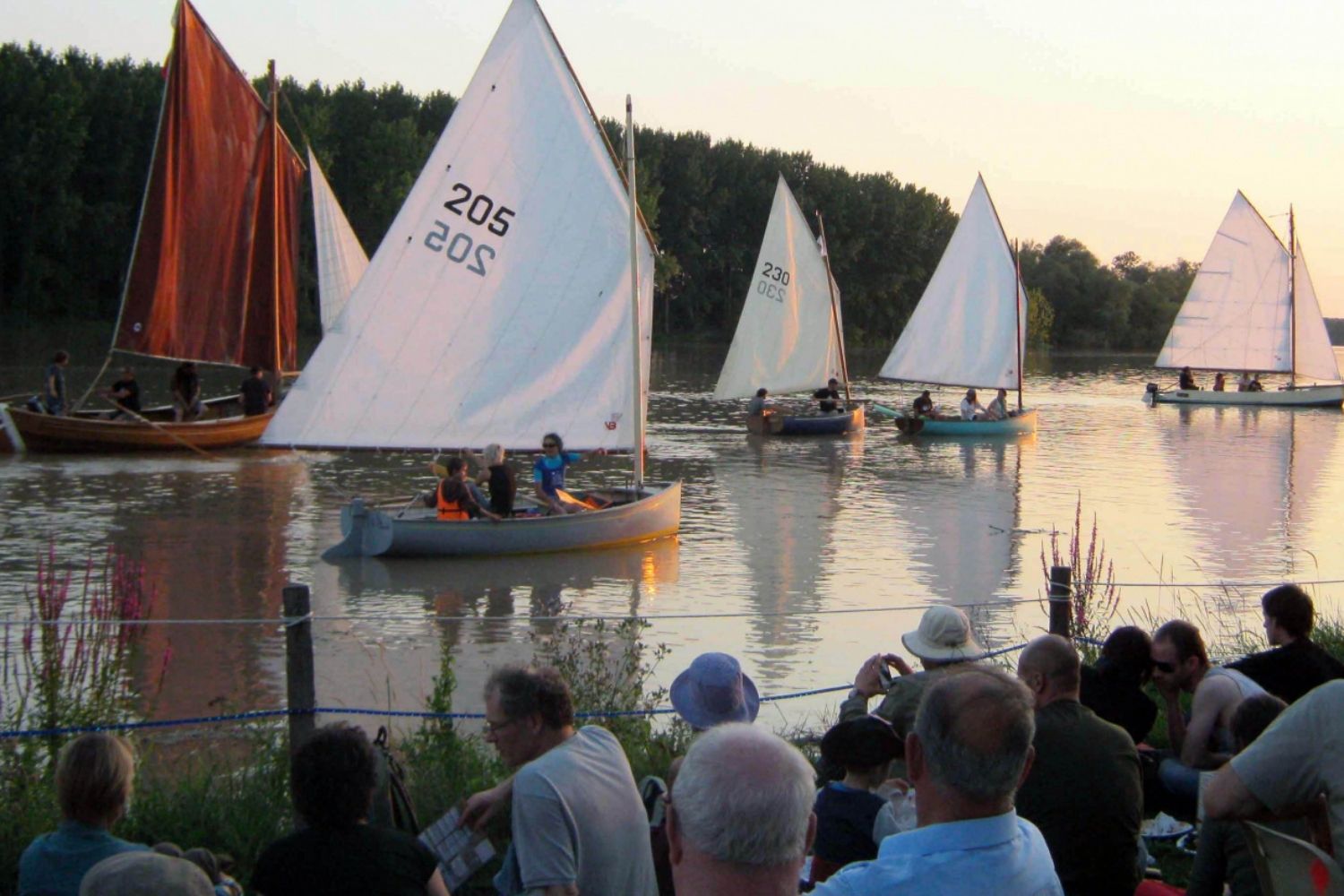des petits bateaux avec les voiles sur un lac