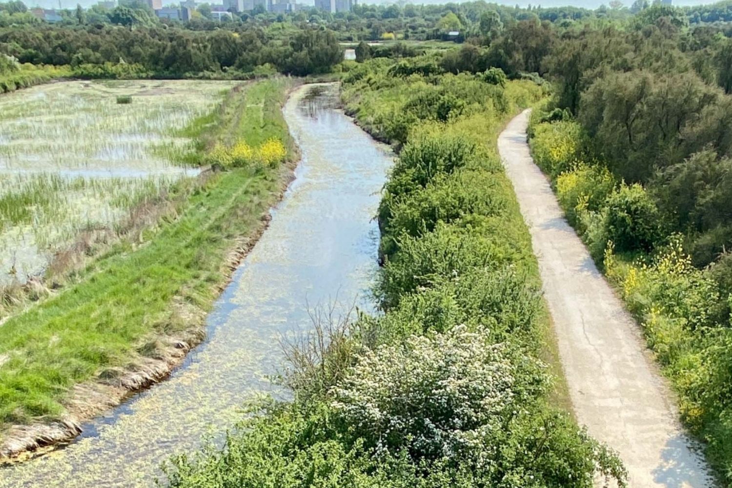 un cheminement à côté d'une rivière