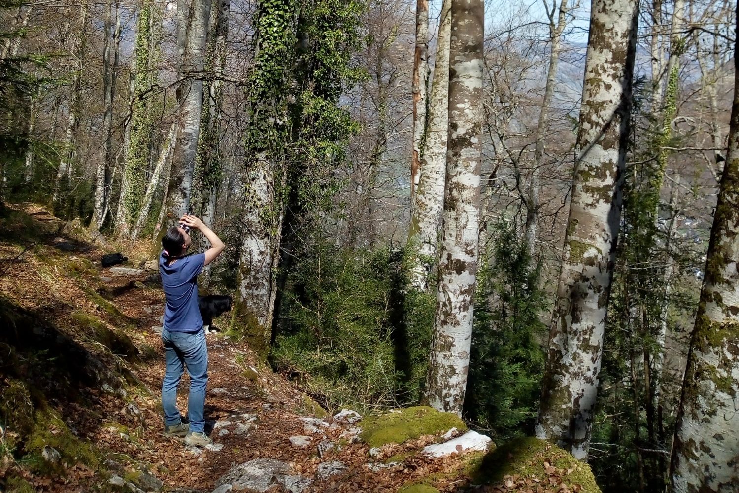 une femme regardant la cime des arbres avec ses jumelles
