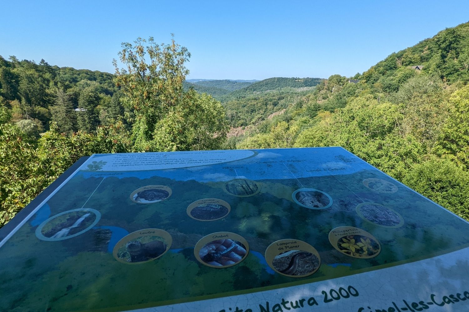 vue panoramique
