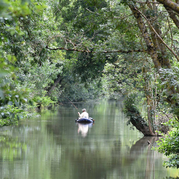 Homme pêchant dans une barque sur une rivière au milieu des arbres