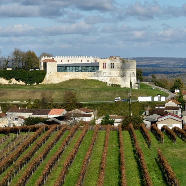 Vue du chateau médiéval restauré avec vignes au premier plan