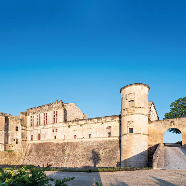 vue de l'extérieur du château