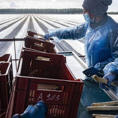Dynamique du chômage et de l’emploi : une analyse territorialisée