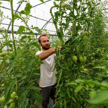 Agriculture & alimentation 