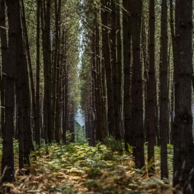 Protéger l’environnement et agir pour le climat 