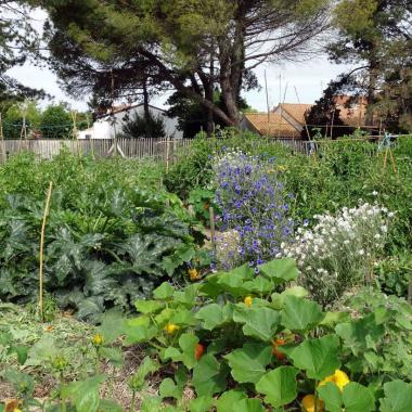 Dunes fertiles, micro-ferme urbaine