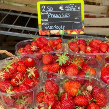 Les Jardins de Valojoulx ouvrent la Dordogne à l’agroforesterie 