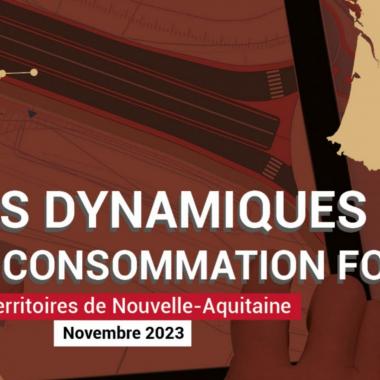 Les dynamiques de consommation foncière