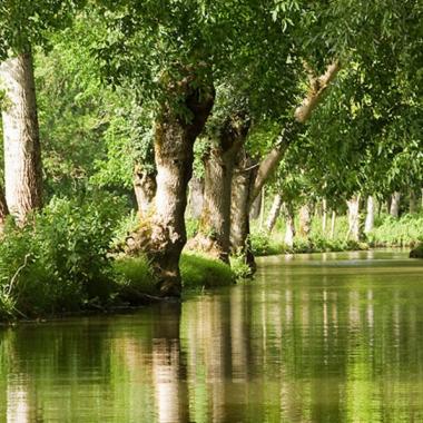 Le PNR du Marais poitevin : fragile et remarquable