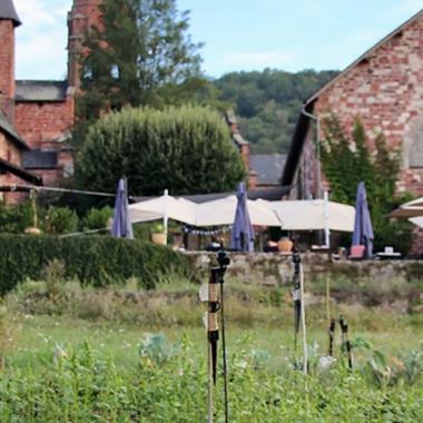 Le maraîcher : du potager à l’assiette