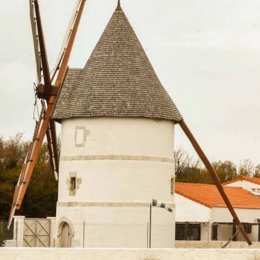 Le moulin de la Brée actionne les circuits courts