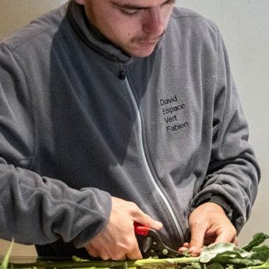 Floricotte, l'insertion par la floriculture bio