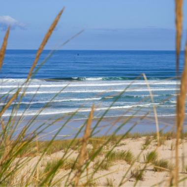 Carnet de bord de mer : comprendre le littoral pour mieux le préserver
