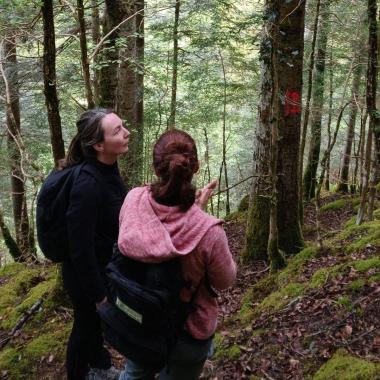 Le printemps des arbres raconte déjà le climat de demain