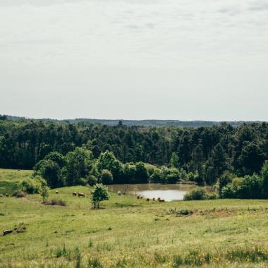 Les sept premiers contrats de territoires adoptés