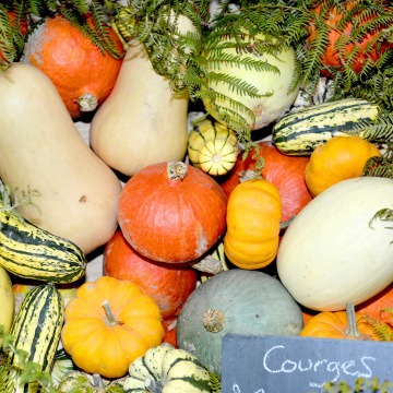 Bio et circuits courts à La Rochefoucauld