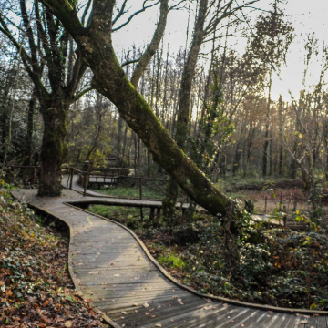 Démarches partenariales