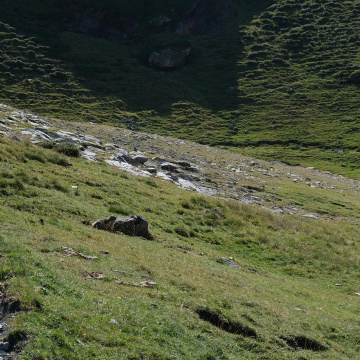 Cartographier la biodiversité dans les Pyrénées