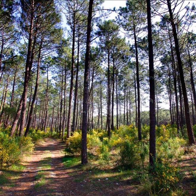 Le GIP ATGeRi : le groupement d'aide à la décision