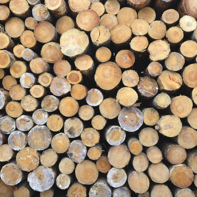 Secondigné-sur-Belle, produire mieux grâce au bois