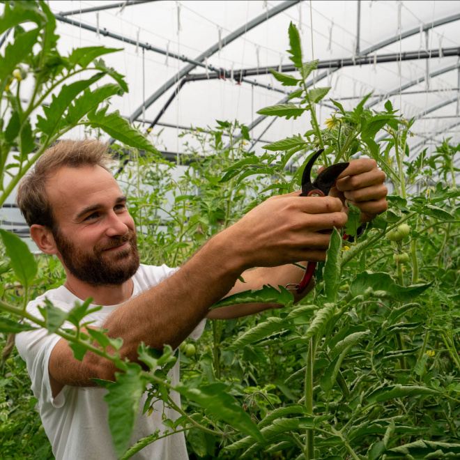 Circuits courts et maraichage à Limoges