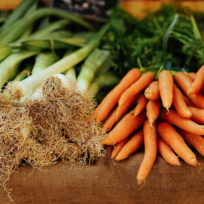 L’alimentation de demain pousse dans le Grand Bergeracois