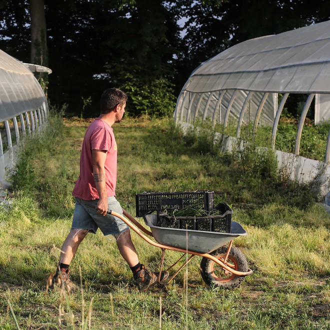 La Ceinture verte, médaille d’or de l’alimentation locale