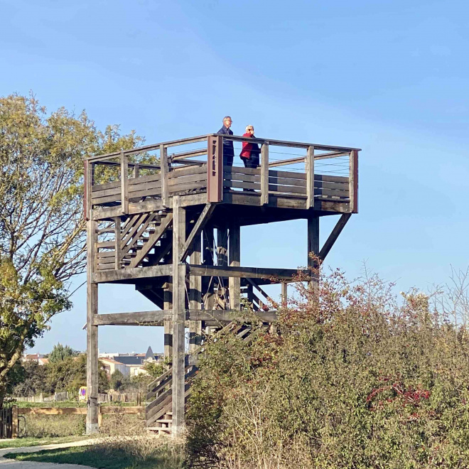 À La Rochelle, le marais de Tasdon rendu à la nature