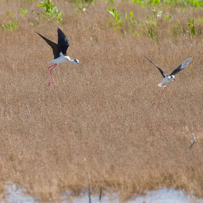 Territoires engagés pour la nature