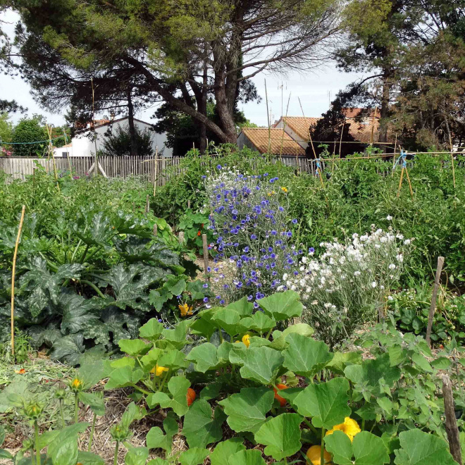 Dunes fertiles, micro-ferme urbaine