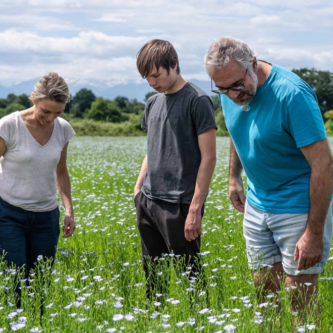 Un lin bon pour la santé, bon pour le palais